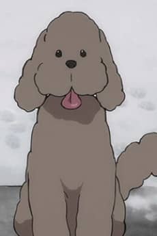Makkachin portrait