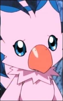 Piyomon portrait