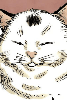 Nyaako portrait