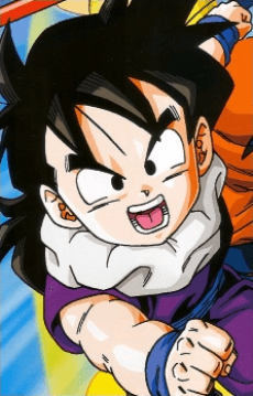 Gohan Son portrait
