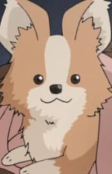 Chikuwa portrait