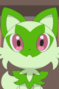Nyahoja portrait