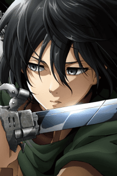 Mikasa Ackerman character image
