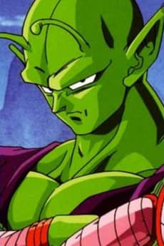 Piccolo portrait