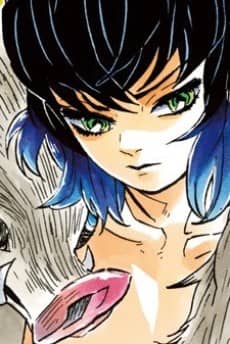 Inosuke Hashibira character image